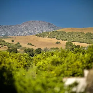 Pajaros , San Pablo España